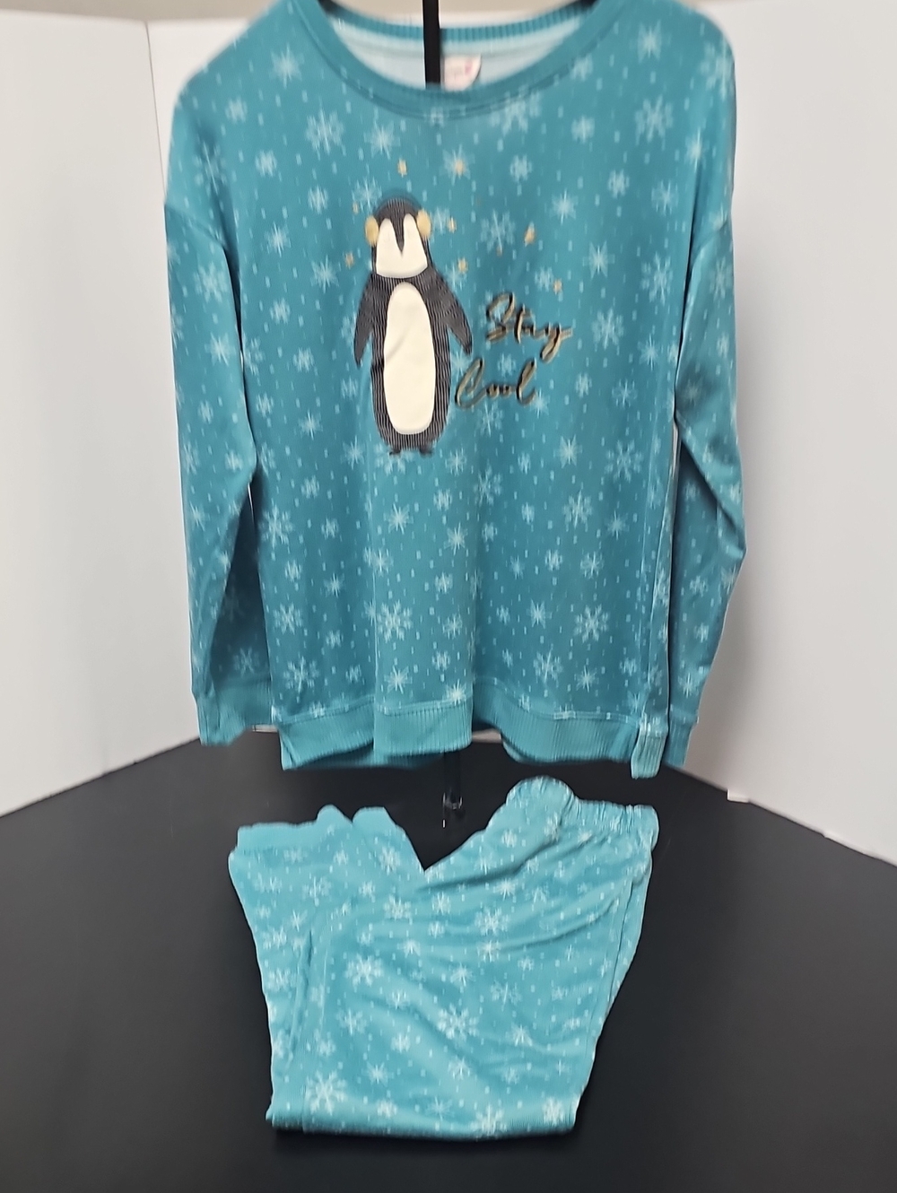 Secret Treasures Teal Snowflake Penguin Pajama Set